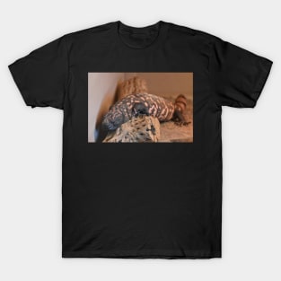 Gila Monster T-Shirt